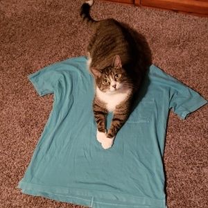 Boyfriend style t-shirt